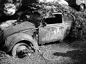Autofriedhof - 193